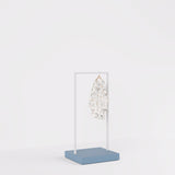 Clothing Rail Kansas, white/unicolor, W 65, 3 heights