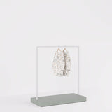 Clothing Rail Kansas, white/unicolor, W 125, 3 heights