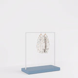 Clothing Rail Kansas, white/unicolor, W 125, 3 heights