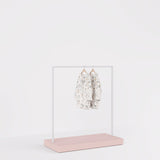 Clothing Rail Kansas, white/unicolor, W 125, 3 heights