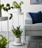 Two-Tier Rolling Plant Stand (28" H)  - Steel